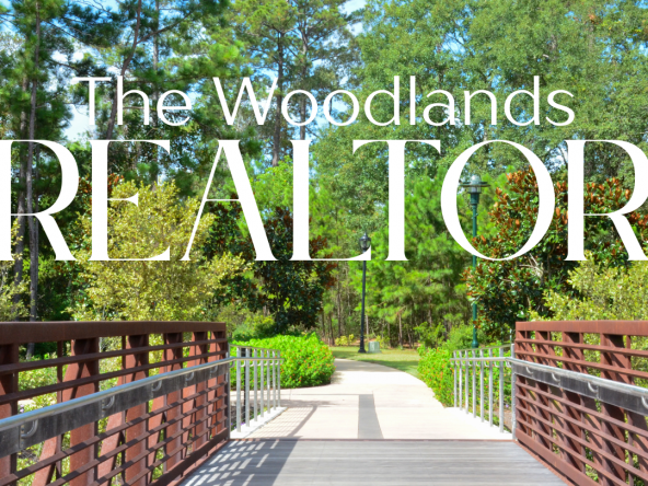 the best the woodlands texas realtor real estate agent for out of town buyers relocation